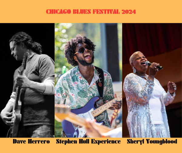 Tournée Chicago Blues Festival 2024 Soul Bag